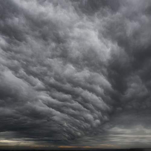 Photo #12505425