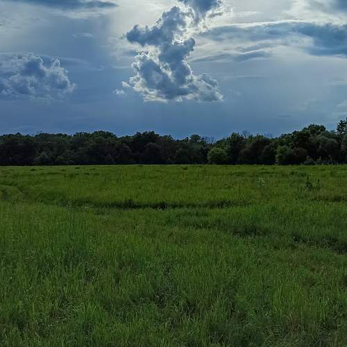 Photo #12505471