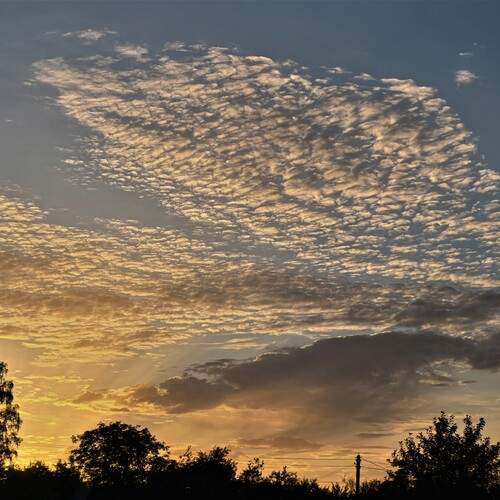 Photo #12505570