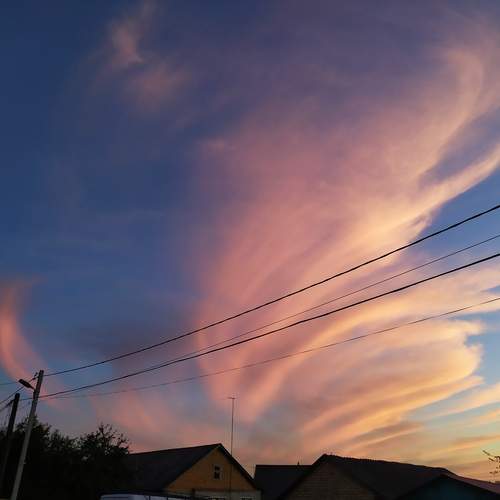 Photo #12505585
