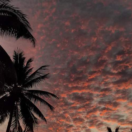 Photo #12505600