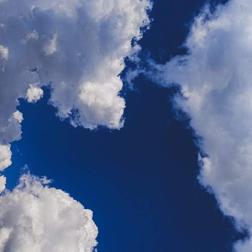 Photo #12505609