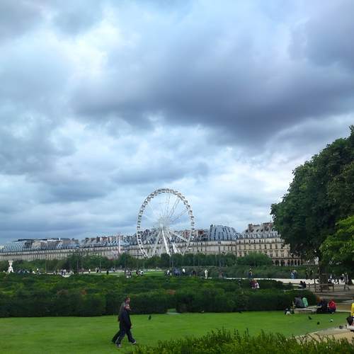 Photo #12505611