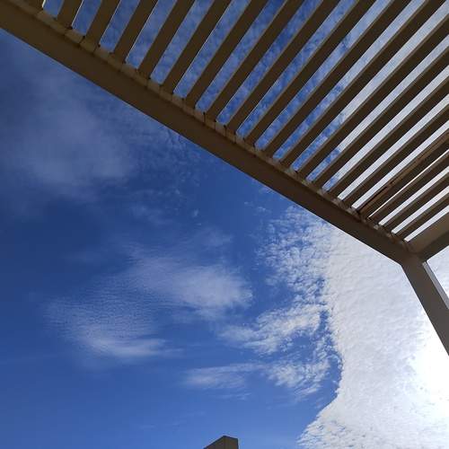 Photo #12505618