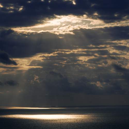 Photo #12505739