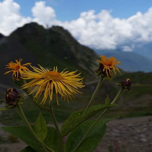 Photo #12505929