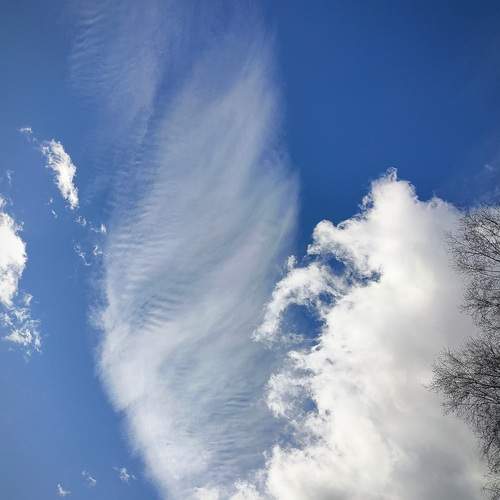 Photo #12506025