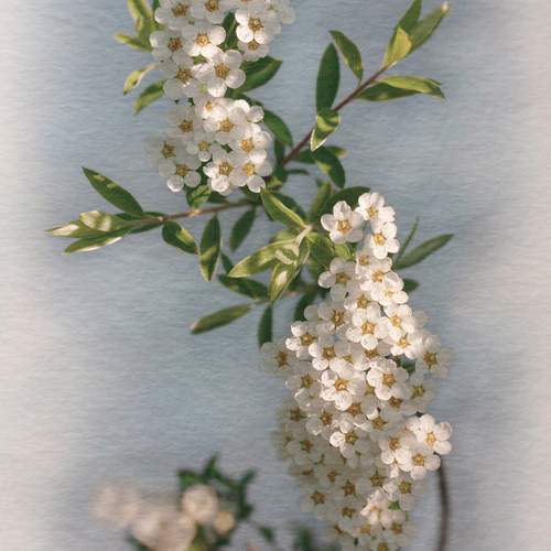 Photo #12506103
