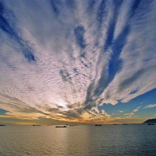 Photo #12506138