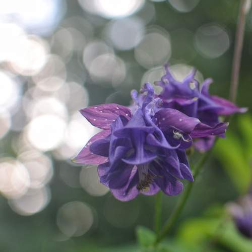 Photo #12506167