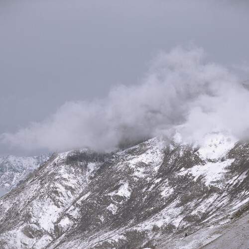 Photo #12506204