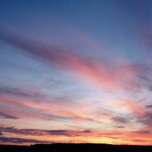 Photo #12506205