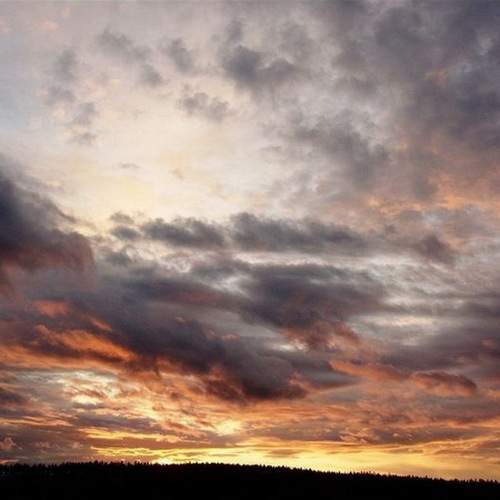 Photo #12506206