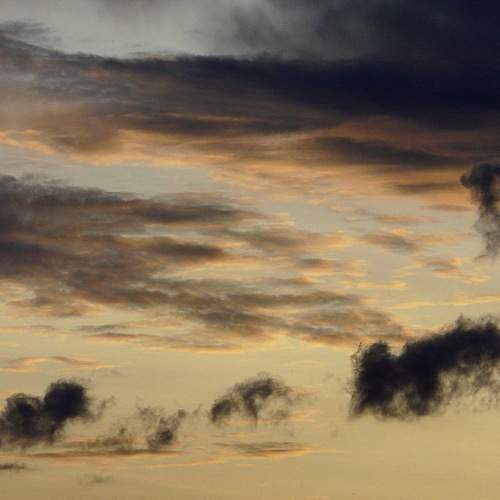 Photo #12506208