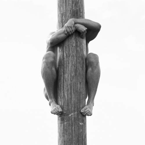 Фотография #12506285