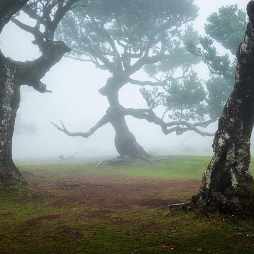 Photo #12506471