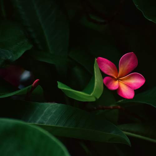 Photo #12506497