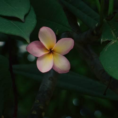 Photo #12506502
