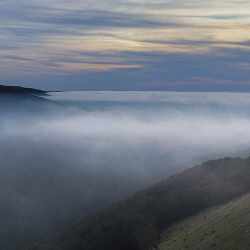 Photo #12506561