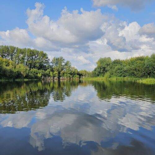 Photo #12506760