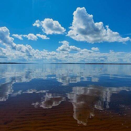Photo #12506774