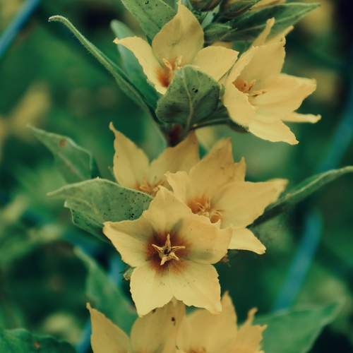 Photo #12506879