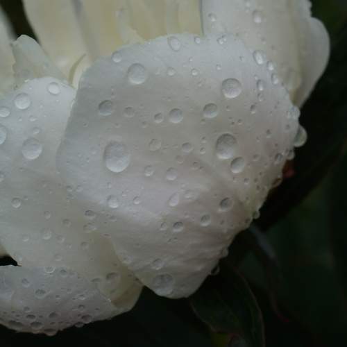 Photo #12506908