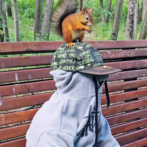 Photo #12507152