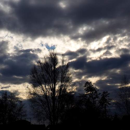 Photo #12507305