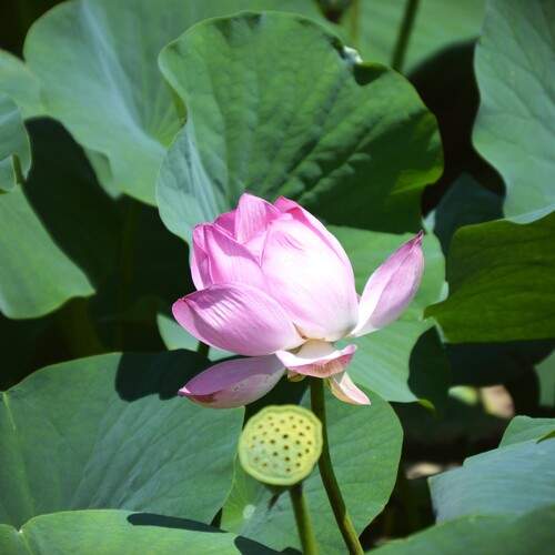 Photo #12507453