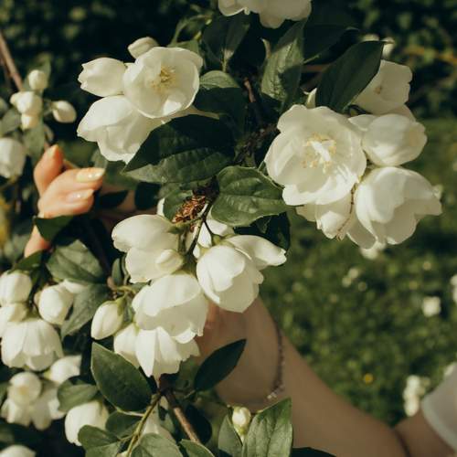 Photo #12507644