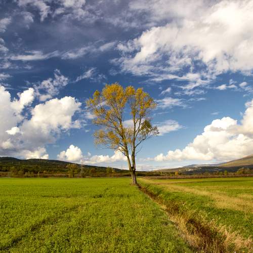 Photo #12507760