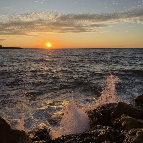 Photo #12507782