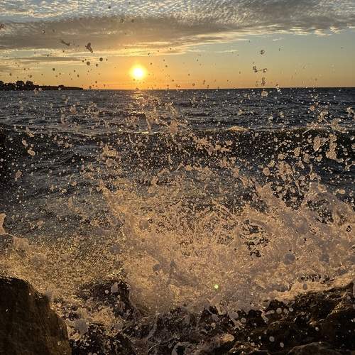 Photo #12507815
