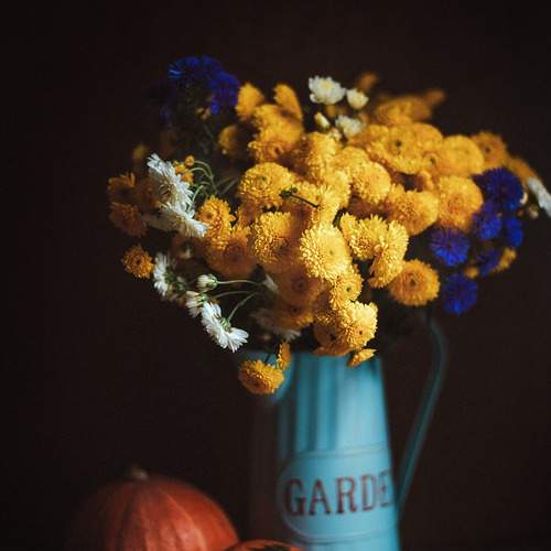 Photo #12507882
