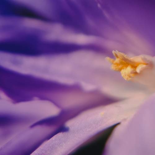 Photo #12507993