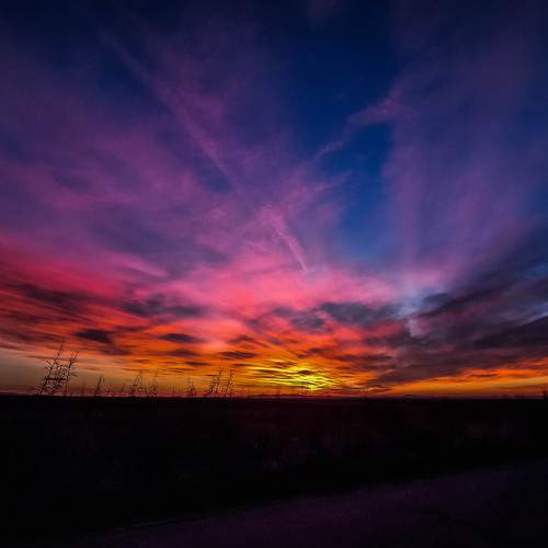 Photo #12508098