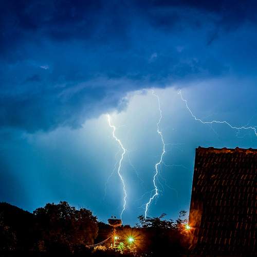 Photo #12508099