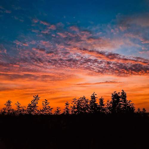 Photo #12508100