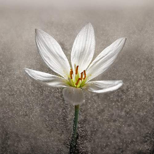 Photo #12508157