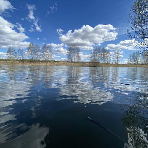 Photo #12508188