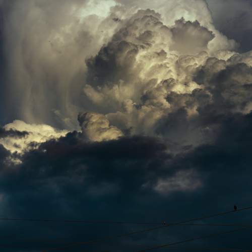 Photo #12508280
