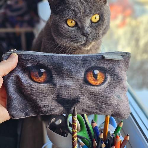Photo #12508391