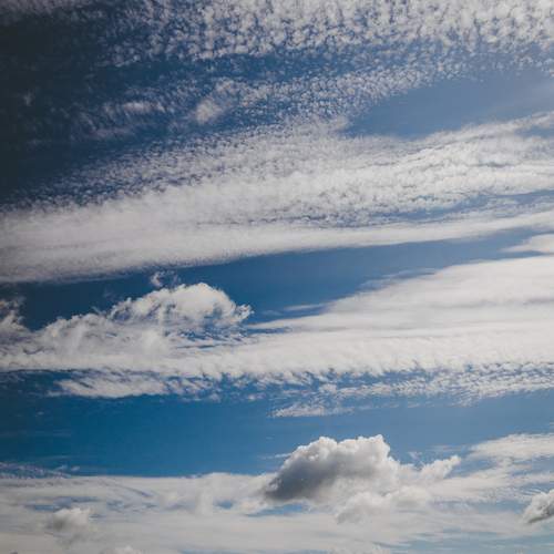 Photo #12508427