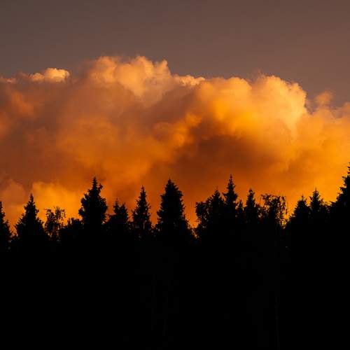 Photo #12508429