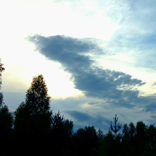 Photo #12508467