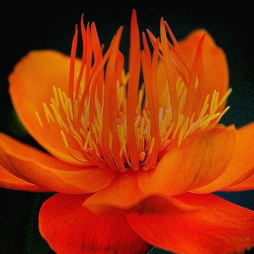 Photo #12508718