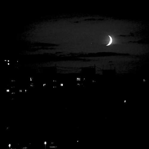 Photo #12508755