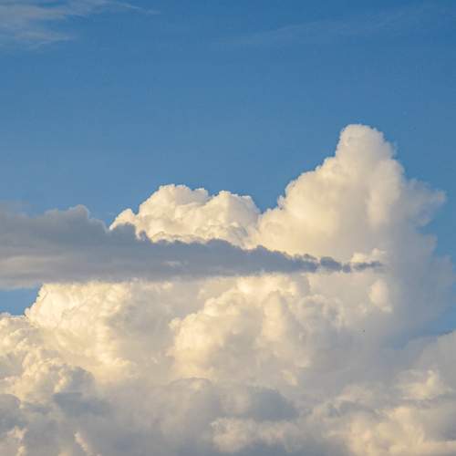 Photo #12508765
