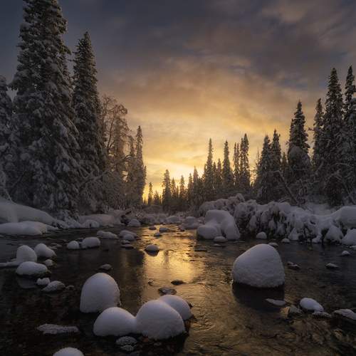 Photo #12508775
